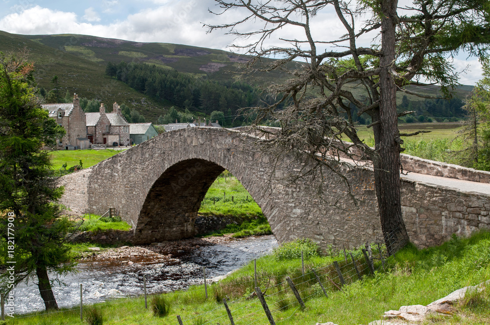 Old stone bridge with high arch in Scotland