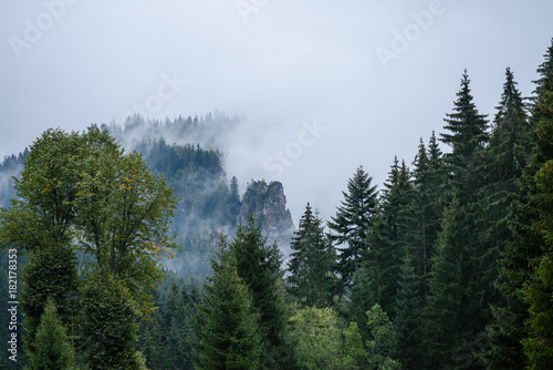 mountain area view in slovakia