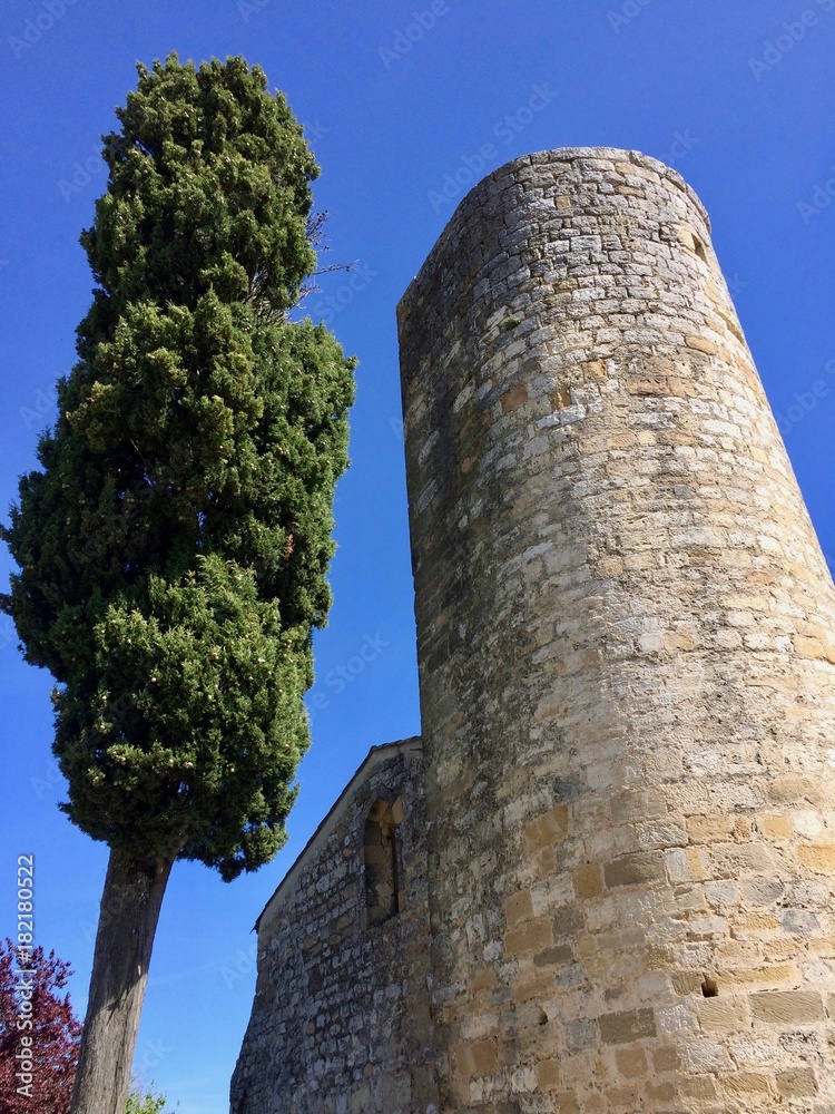 old tower and cypress