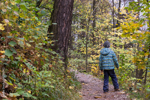 Child walking in a forest