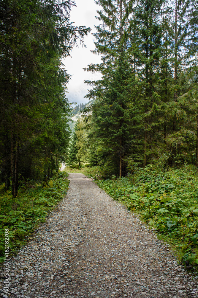 Fototapeta premium empty gravel road in the countryside in summer