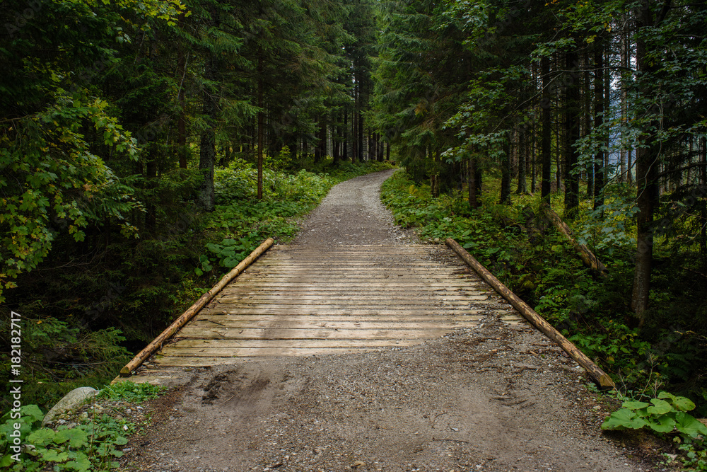 empty gravel road in the countryside in summer