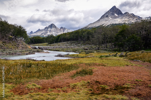 Peat bog in Tierra del Fuego park near Ushuaia, Paragonia, Argentina photo