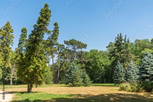 Landscape  Dendrological Park of the National Reserve Askania-Nova  Ukraine