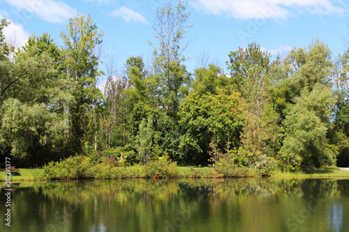 Reflections on the pond in early autumn