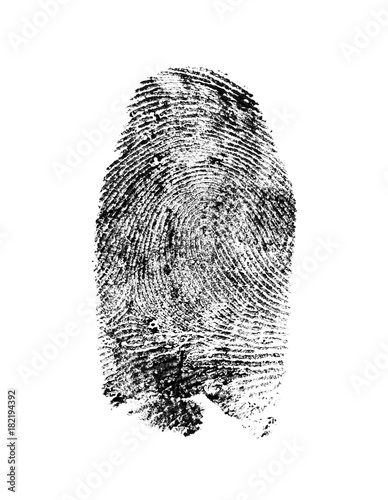 Fingerprint pattern isolated on white background