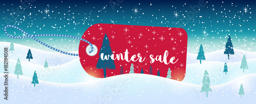 Winter social media sale banners and ads, web template collection.