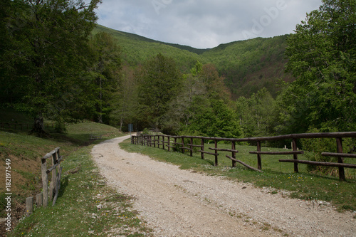 Sentiero vicino Ruscio di Vallevona, Parco Nazionale del Cilento e Vallo di Diano, primavera photo