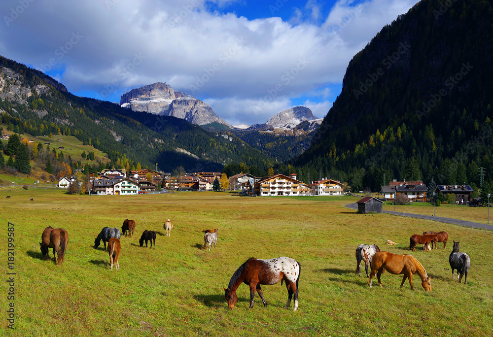 Obraz premium Horses in the Dolomites, Italy, Europe