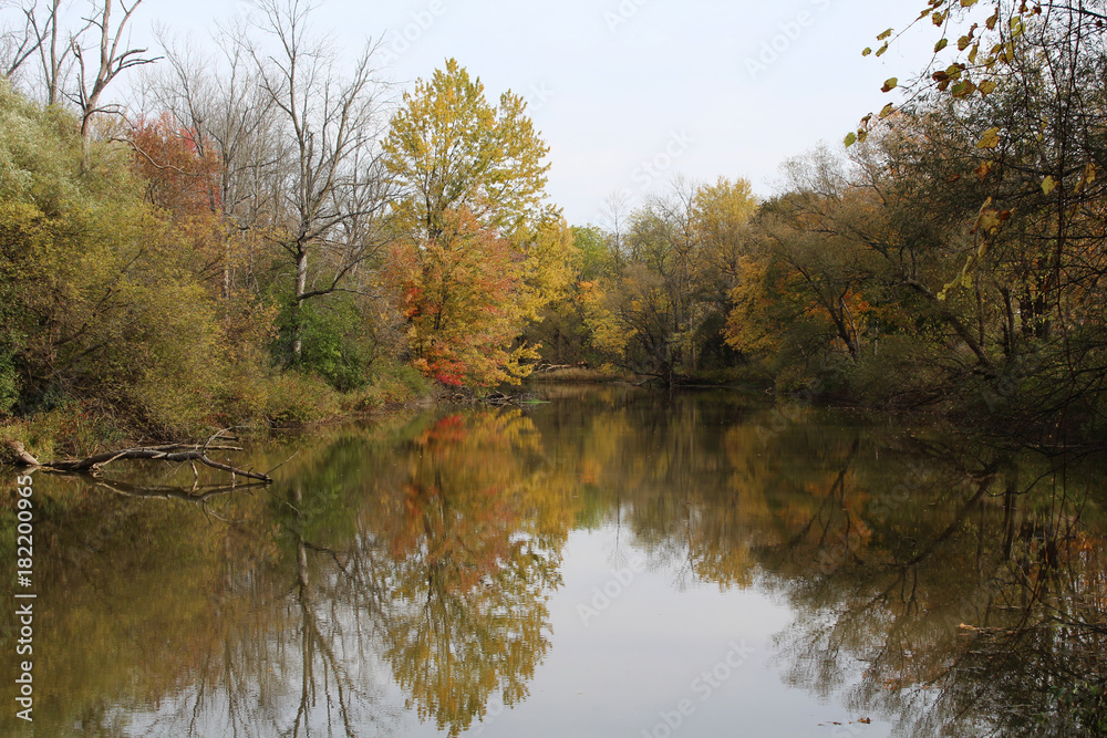 Fall trees reflecting on Honeoye creek