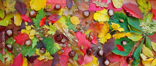 Jesienna kompozycja z liści, kasztanów, żołędzi i nasion