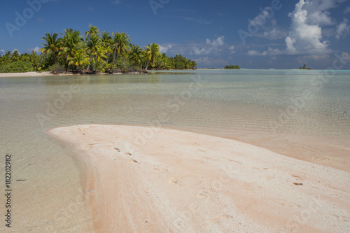pink sand of rangiroa atoll photo