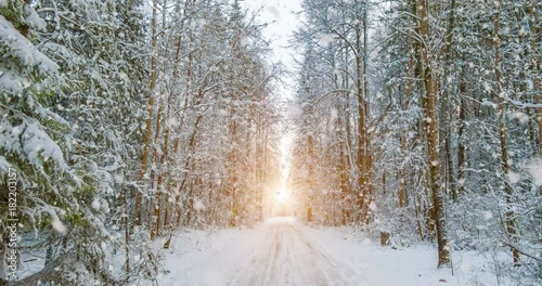 CINEMAGRAPH, 4k, falling snow in the winter forest, loop