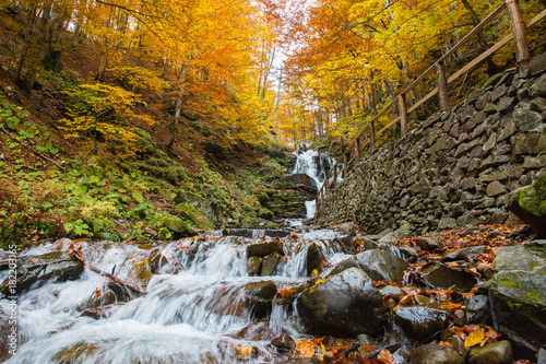 Forest waterfall in Carpathian mountains at autumn, Ukraine