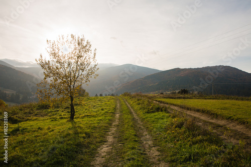 Countyside road in Carpathian mountains, Ukraine