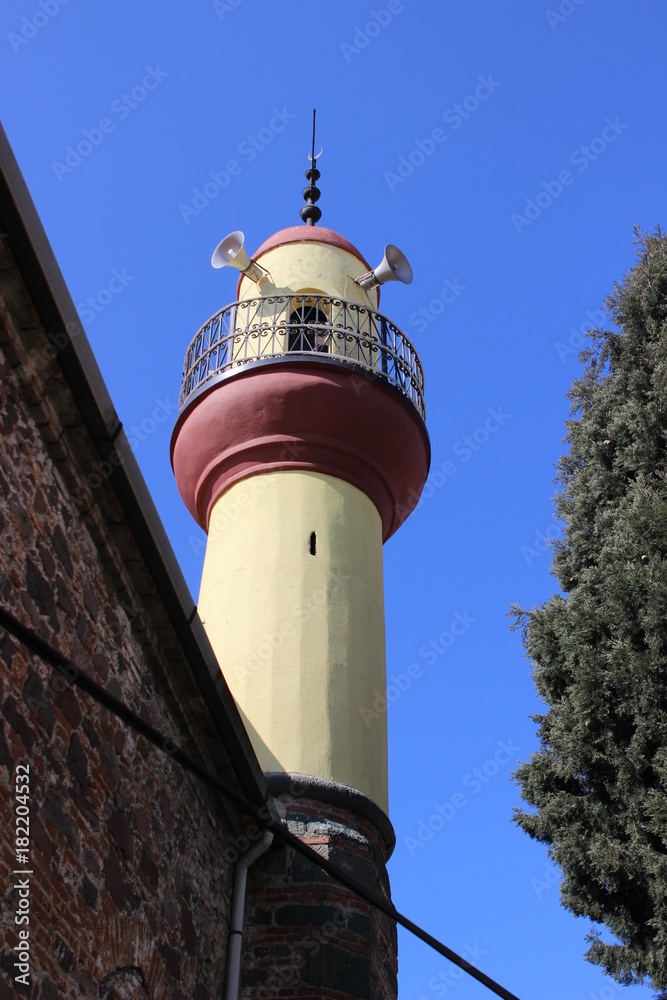 Fototapeta premium Firehouse of a Town