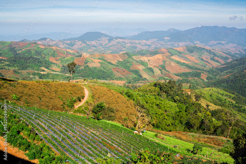 Landscape of forest in sierra that some part was deforestation by human, Nan, Northern of Thailand