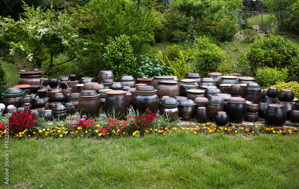 Fototapeta premium 아름다운 장독대