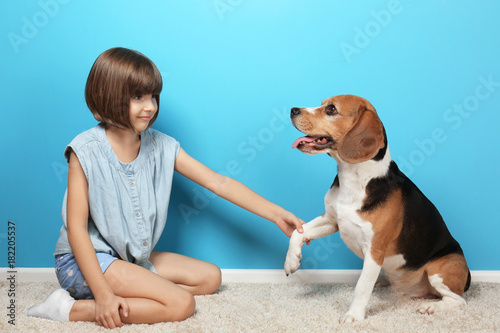 Cute girl with dog near color wall