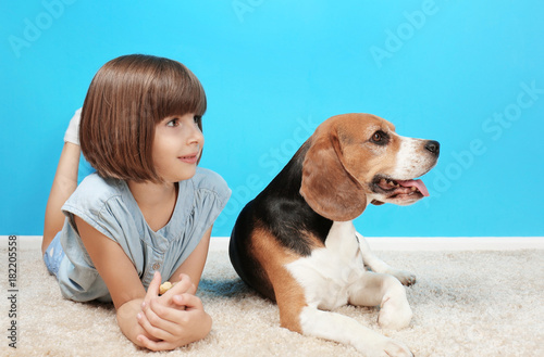 Cute girl with dog lying on carpet near color wall
