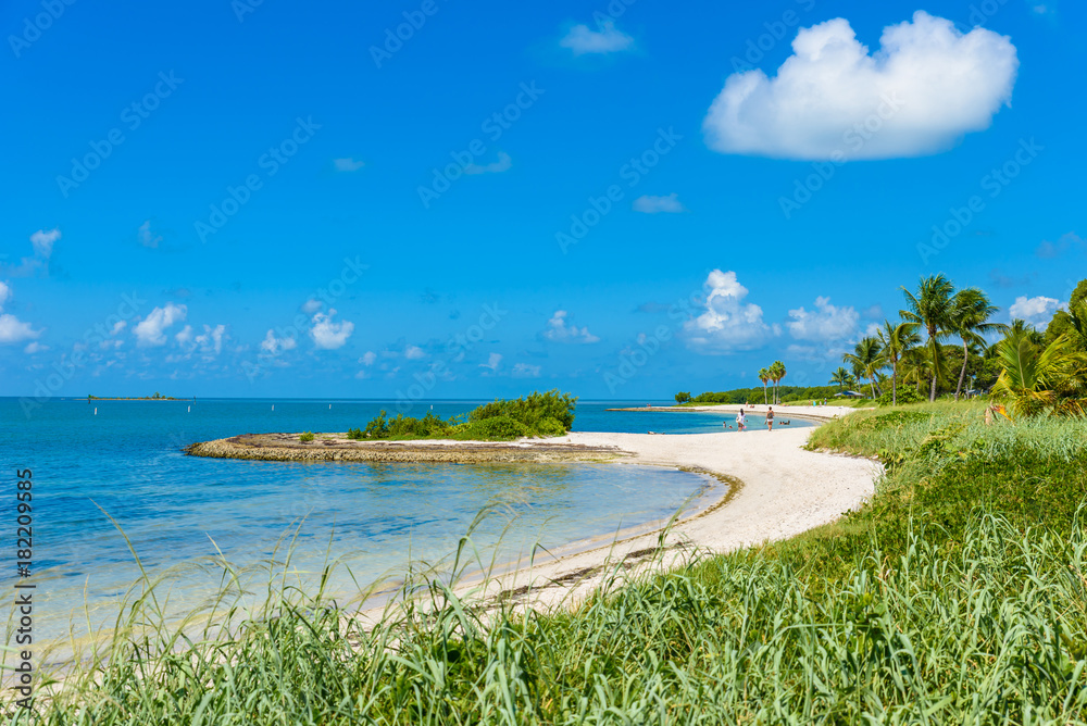 Sombrero Beach with palm trees on the Florida Keys, Marathon, Florida, USA. Tropical and paradise destination for vacation.