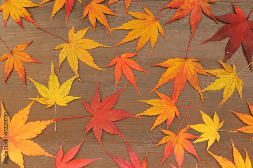 Japanese autumn maple leaf on brown wood background