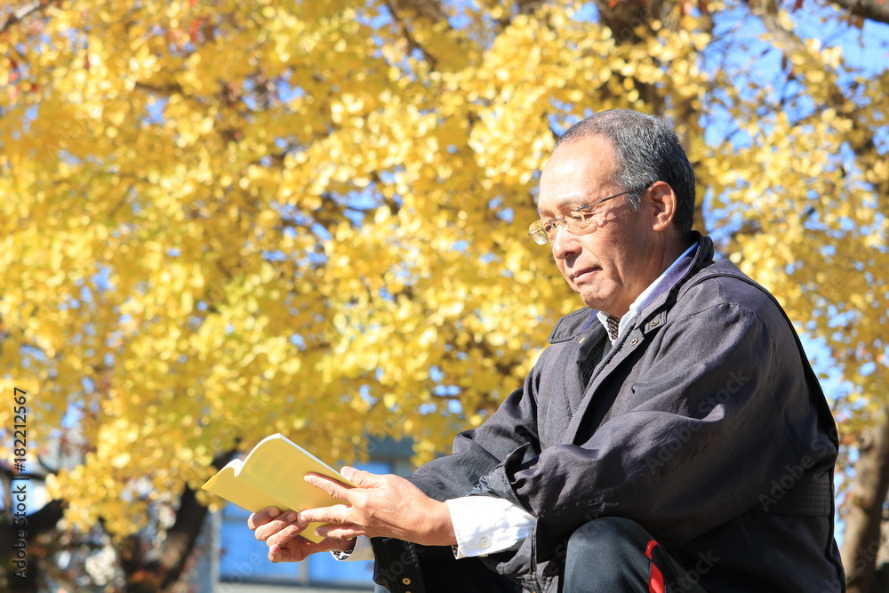 イチョウの木の下で読書する男性