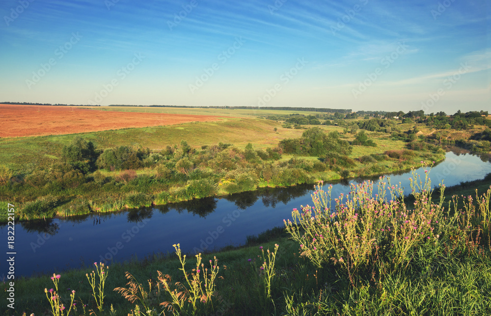 Fototapeta premium Sunny summer landscape with river