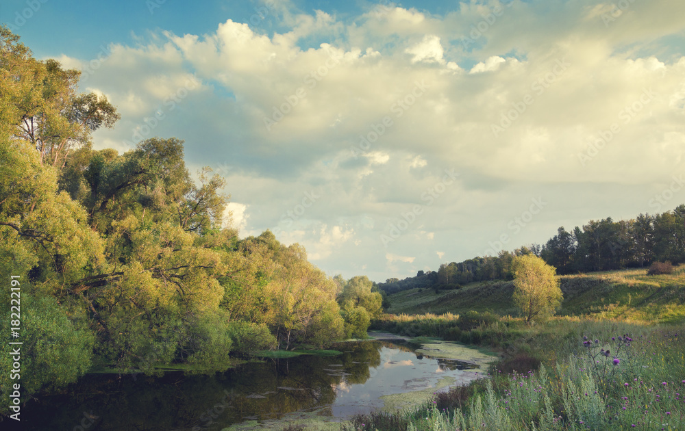 Sunny summer landscape with river