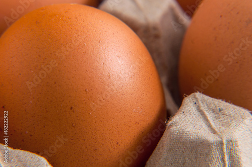 Close up to brown chicken egg in eggbox photo