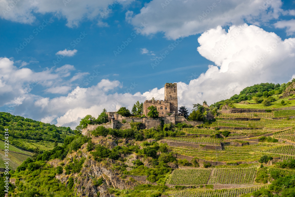 Gutenfels Castle and vineyards at Rhine Valley near Kaub, Germany.