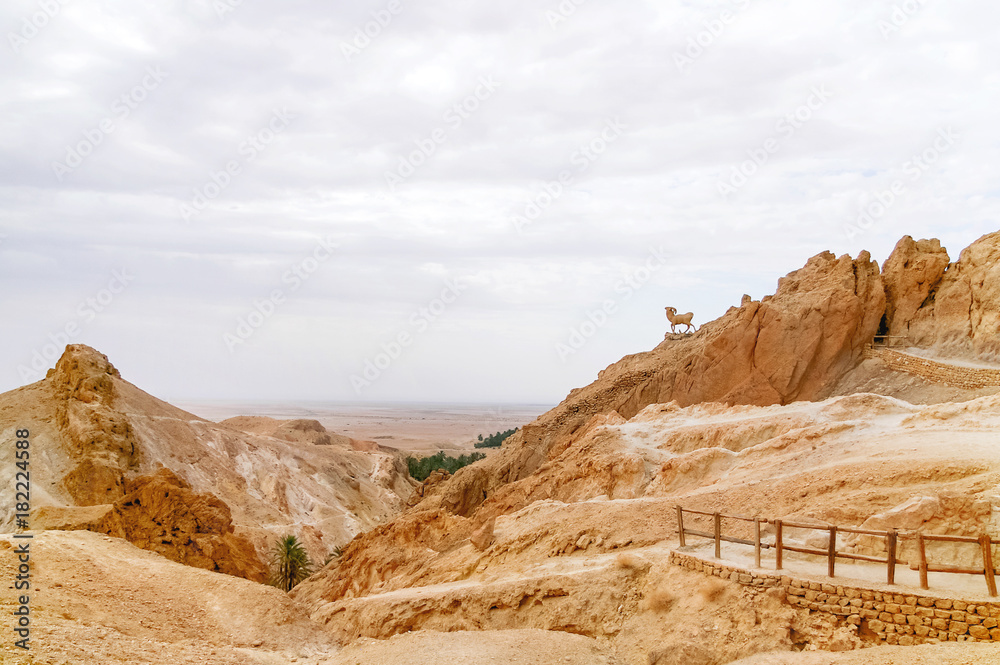 Panorama view on oasis Chebika, famous landmark in Sahara desert. Tunisia.
