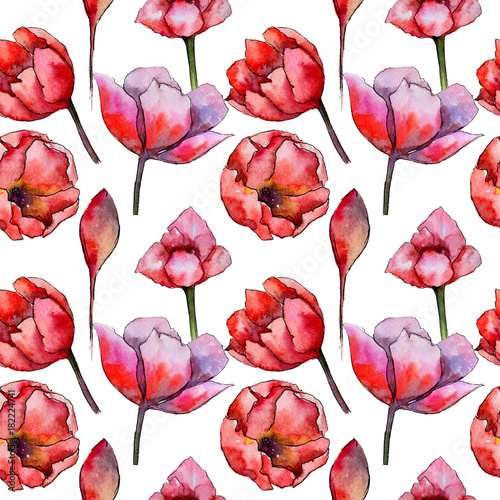 Wildflower tulip flower pattern in a watercolor style. Full name of the plant: tulip. Aquarelle wild flower for background, texture, wrapper pattern, frame or border.