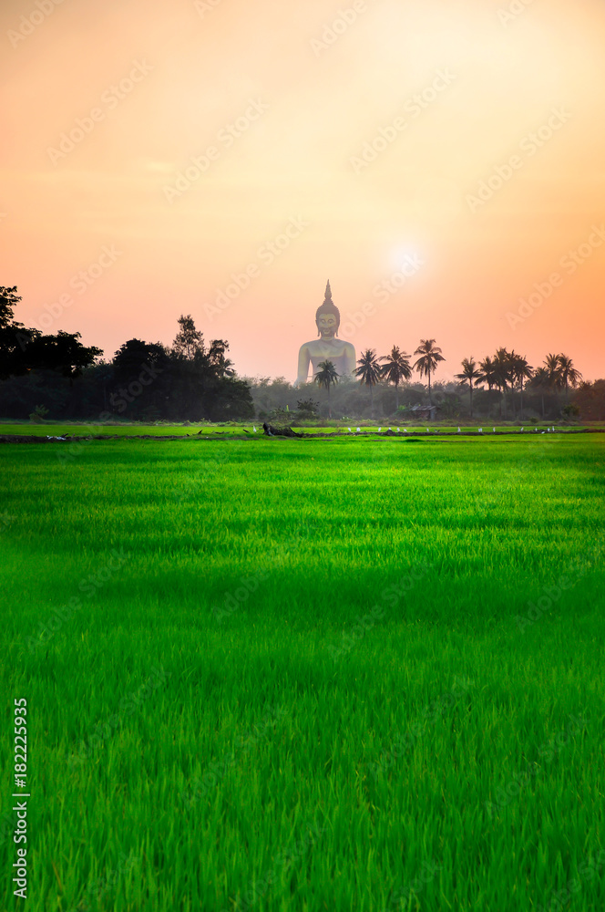 Big Buddha statues with green fields, Egret, cottages and coconut trees are foreground in the evening have orange light. Copy space