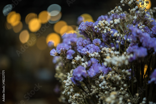 Dried flowers with lights bokeh background