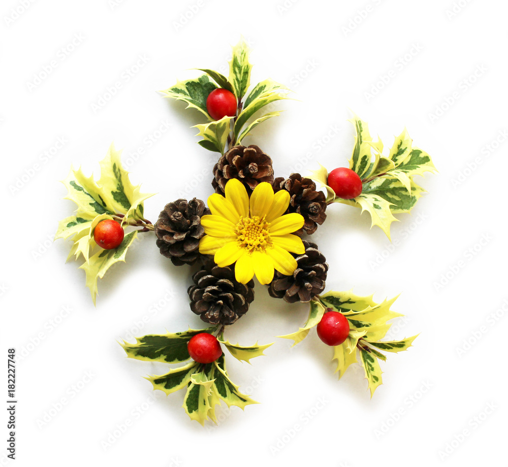 ヒイラギの葉と松ぼっくりとクマタケランの実とツワブキの花のクリスマスリース Stock 写真 Adobe Stock ヒイラギの葉と松ぼっくりとクマタケランの実とツワブキの花のクリスマスリース Stock 写真 Adobe Stock