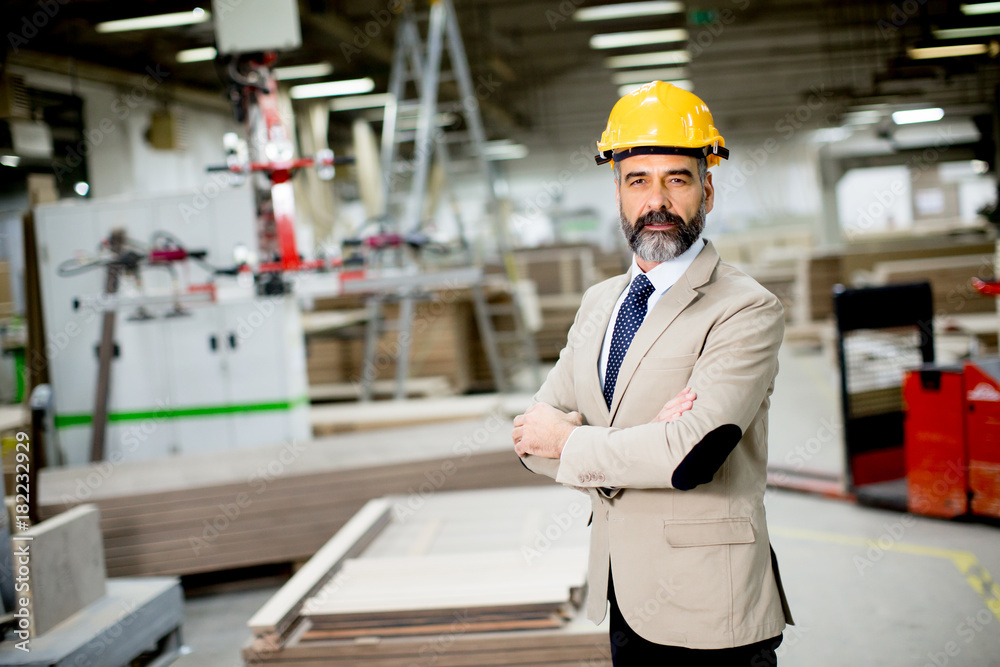 Middle-aged businessman in factory Middle-aged businessman in factory