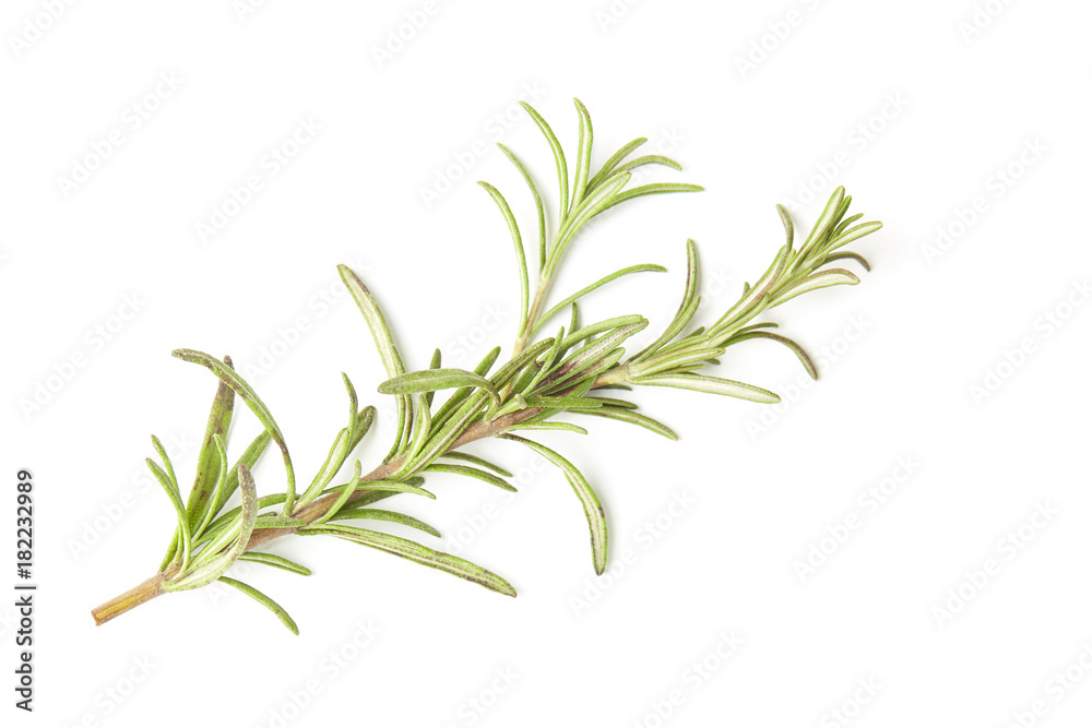 Fototapeta premium Rosemary isolated on white background, Top view