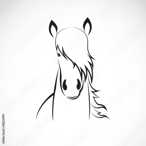 Vector of a horse head design on white background, Horse Logo. Wild Animals. Vector illustration. Icon.