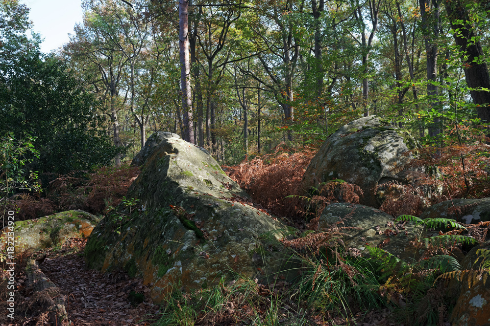 Climbing site of rocher canon in Fontainebleau forest Climbing site of rocher canon in Fontainebleau forest