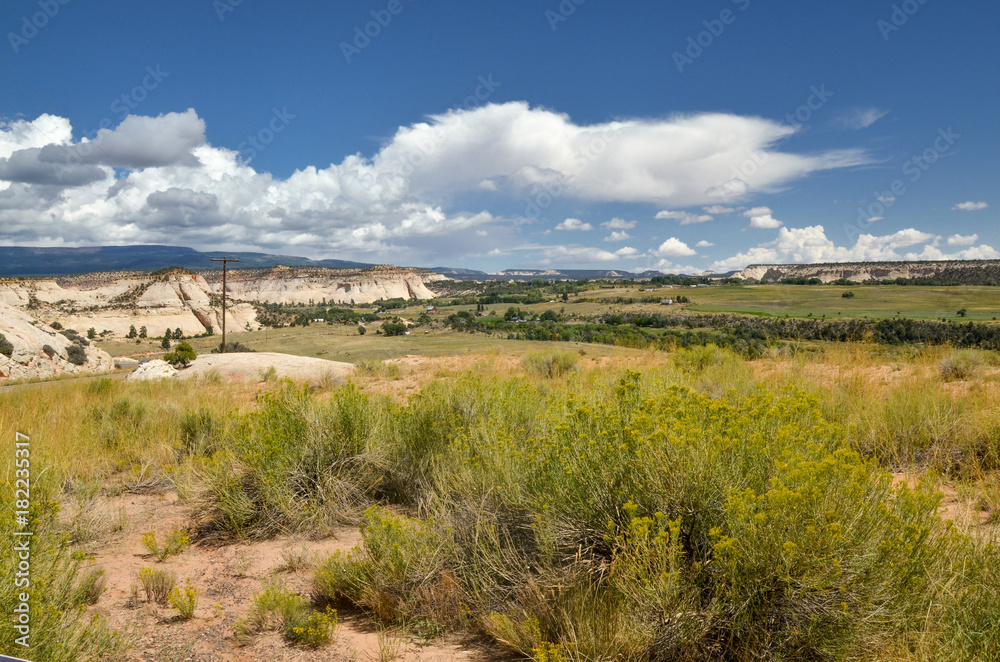 Tree lined Boulder Creek meanders in green valley near Boulder Mountain
view from Scenic Byway 12 in Grand Staircase - Escalante National Monument