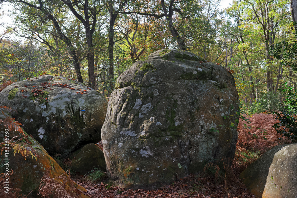 Climbing site of rocher canon in Fontainebleau forest Climbing site of rocher canon in Fontainebleau forest