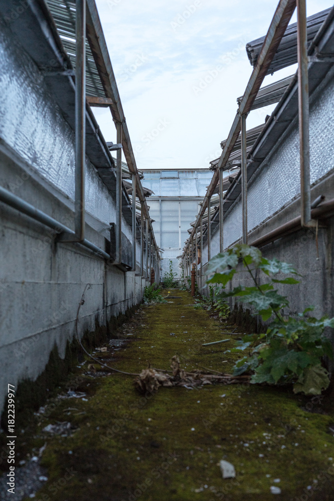 Fototapeta premium small path way between industrial buildings