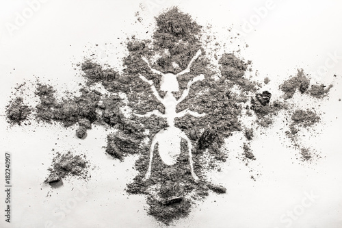 Ant or termite silhouette drawing made in ash
