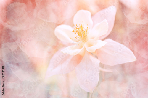 Abstract floral background with a texture. Beautiful pastel shades. soft selective focus