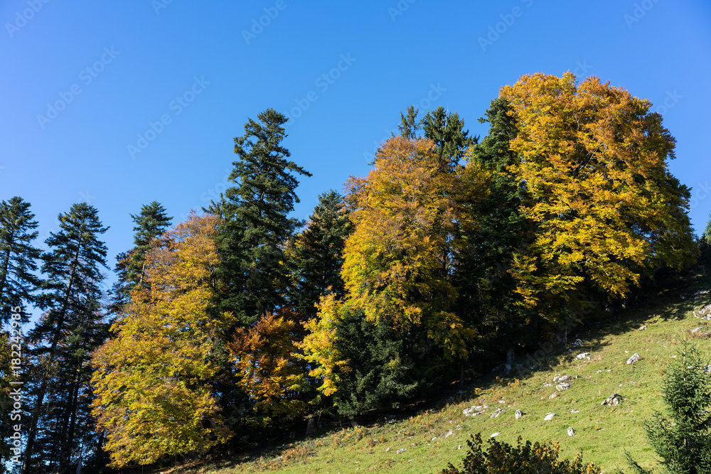 mountain landscape at buergenstock near lucerne switzerland tourism