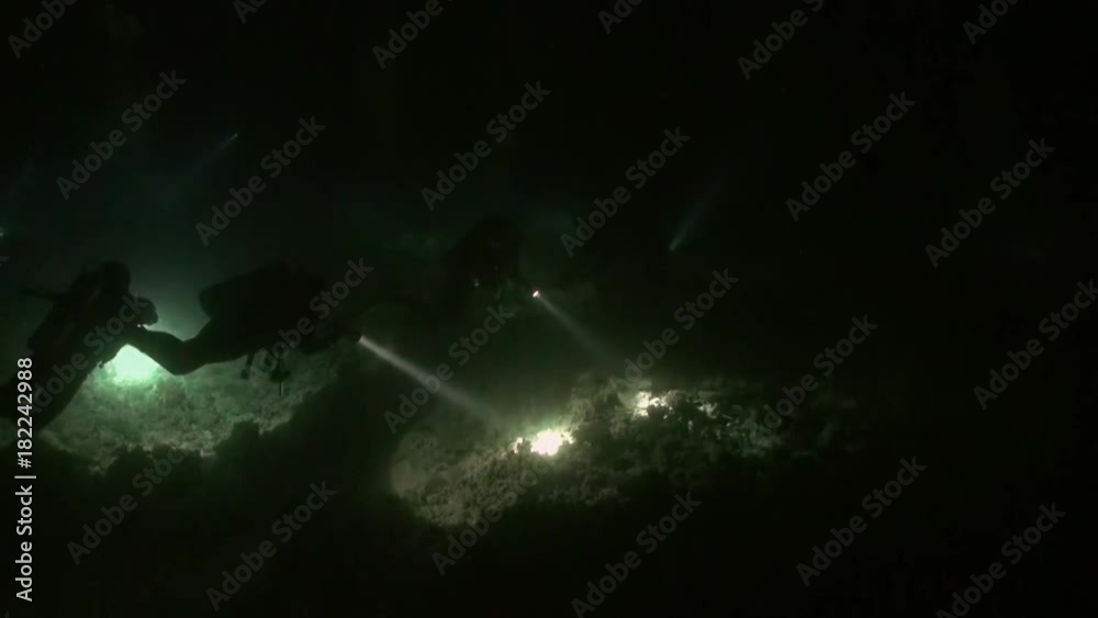 Scuba diver with flashlight on background of bottom at night underwater. Amazing unique beautiful video. Relax.