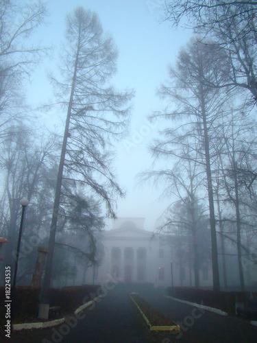 Mansion in a foggy park