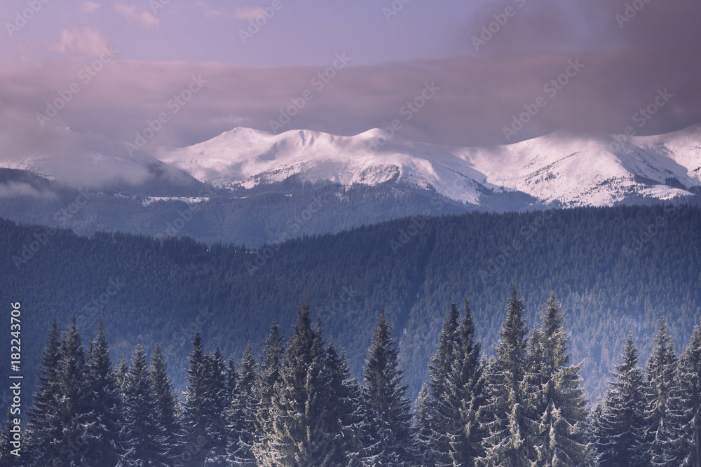 Foggy winter landscape in the mountains. View of forest hills covered by snow  and hoarfrost. 