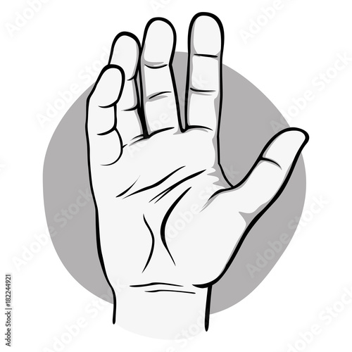 Illustration represents an open human hand with sample palm, black and white. Ideal for catalogs of institutional material